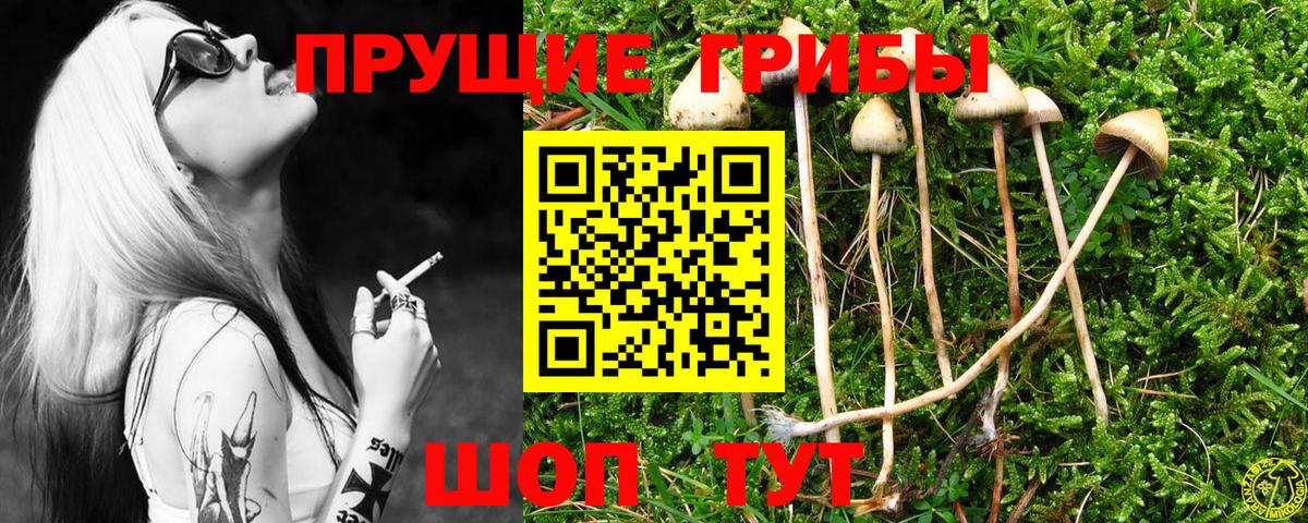 Галлюциногенные грибы MAGIC MUSHROOMS Пыть-Ях